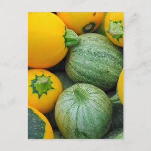 Green And Yellow Squash Postcard