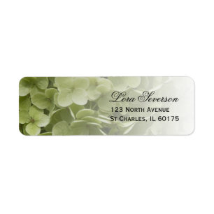 Green Annabelle Hydrangea Floral Return Address