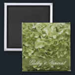 Green Annabelle Hydrangea Floral Wedding Magnet<br><div class="desc">Customise the elegant Green Annabelle Hydrangea Floral Wedding Square Magnet with the personal names of the bride and groom to create a one of a kind personalised party favour or keepsake gift for the newlyweds, bridesmaids or bridal attendants. This pretty custom flowery marriage magnet features a floral photograph of a...</div>