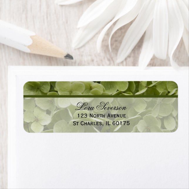 Green Annabelle Hydrangea Flower Return Address (Insitu)