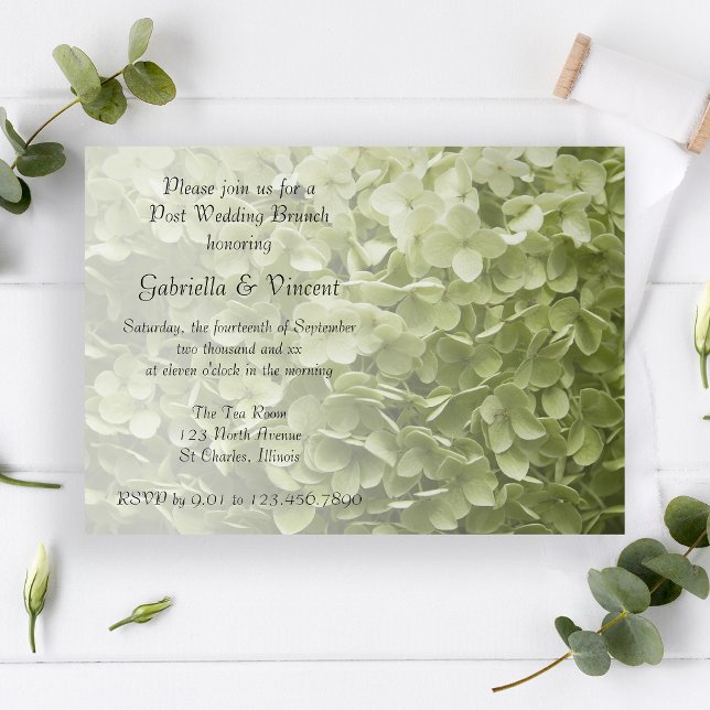 Green Annabelle Hydrangea Post Wedding Brunch Invitation (Creator Uploaded)