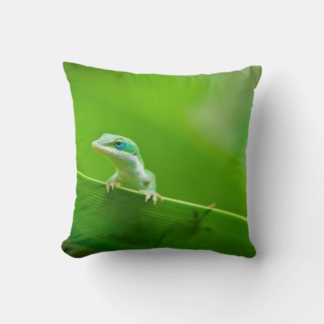 Green Anole Lizard Encounter Cushion (Front)