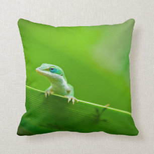 Green Anole Lizard Encounter Cushion