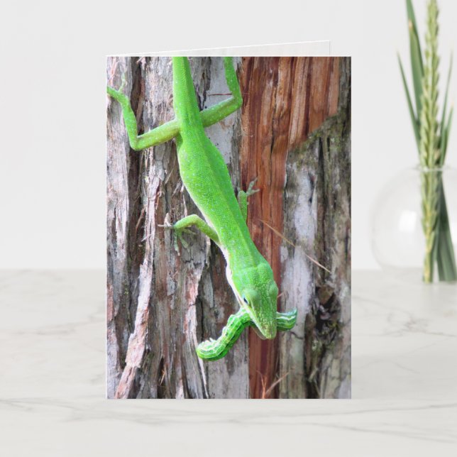 Green Anole (Lizard) Greeting Card (Front)