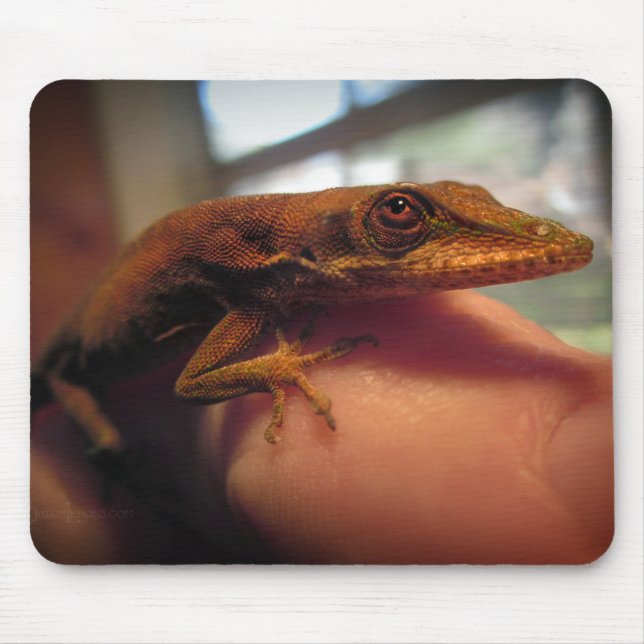 Green Anole Lizard Mouse Pad (Front)