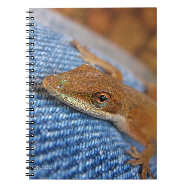 Green Anole Lizard Spiral Notebook (Front)