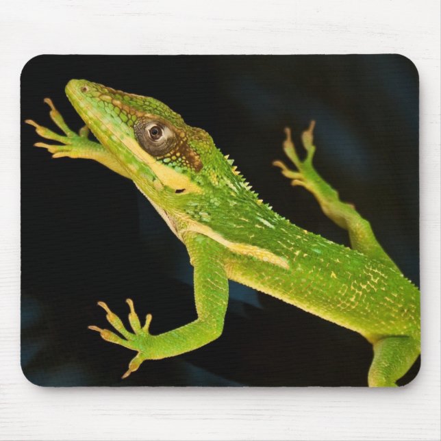 Green Anole Mouse Pad (Front)