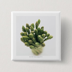 Green Asparagus 15 Cm Square Badge