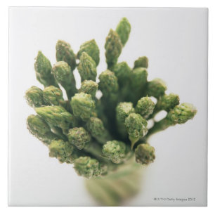 Green Asparagus Tile