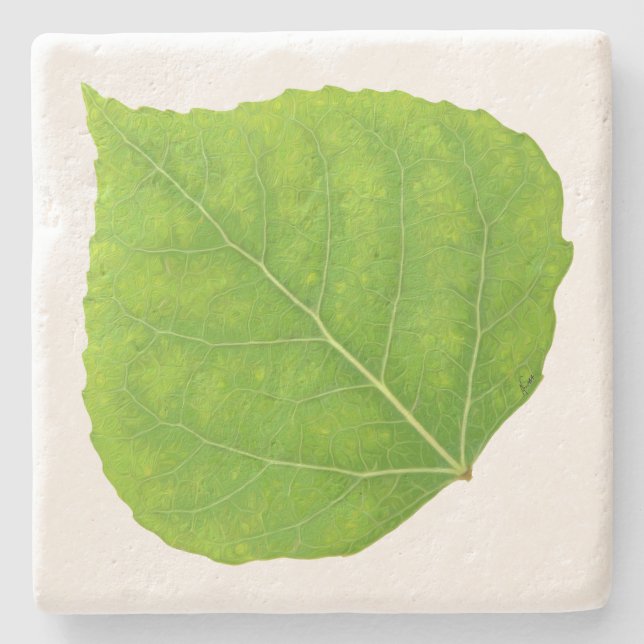 Green Aspen Leaf #11 Stone Coaster (Front)