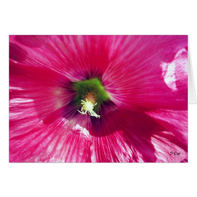 Green at Heart, S Cyr (Front Horizontal)