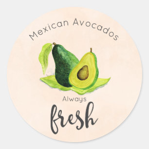 Green Avocado Still Life Fruit in Watercolors Classic Round Sticker