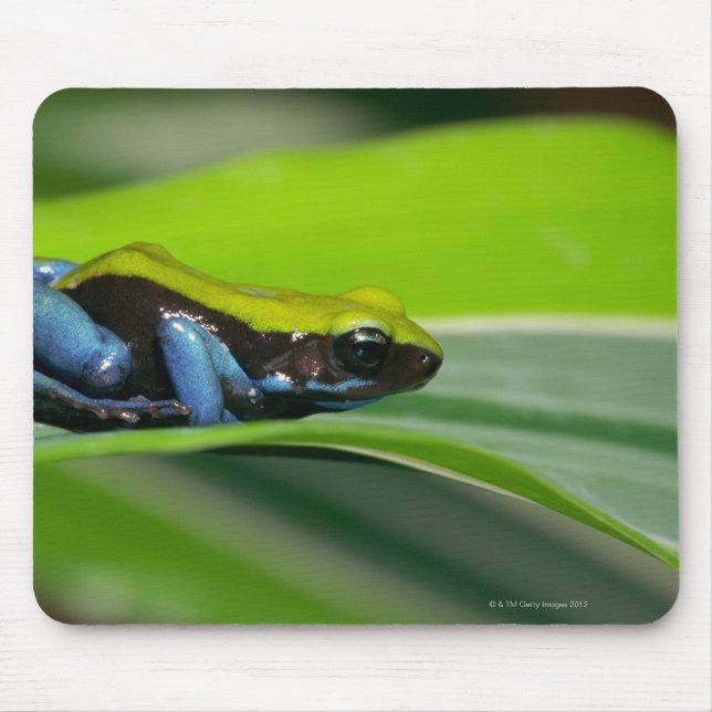 Green-backed mantella mouse pad (Front)