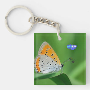 Green background & yellow,white butterfly & spider key ring