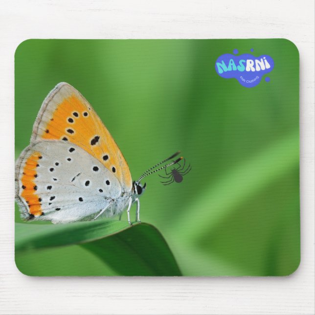 Green background & yellow,white butterfly & spider mouse pad (Front)