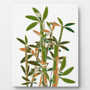 Green bamboo  isolated on white background plaque