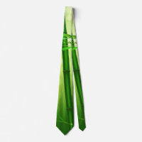 Green Bamboo With Pale Bokeh Lights In The Back