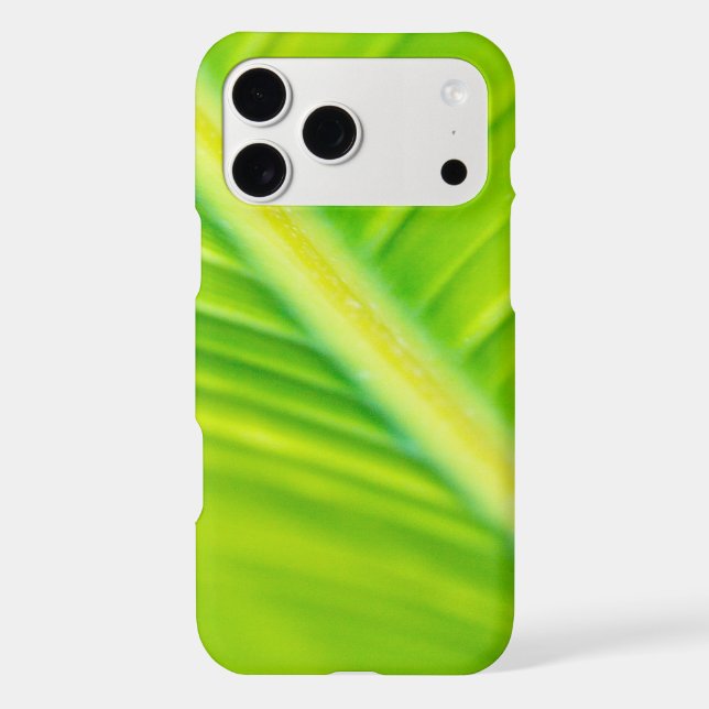 green banana leaf (Back)