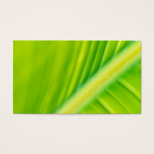 green banana leaf (Front)