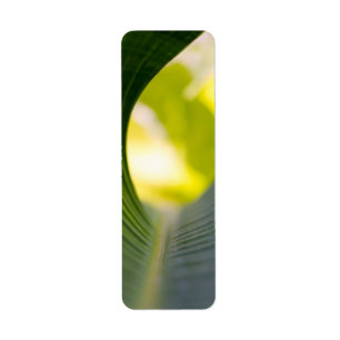 green banana leaf