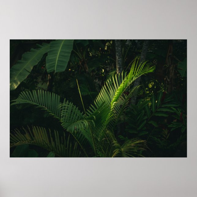 GREEN BANANA TREE DURING DAYTIME POSTER (Front)