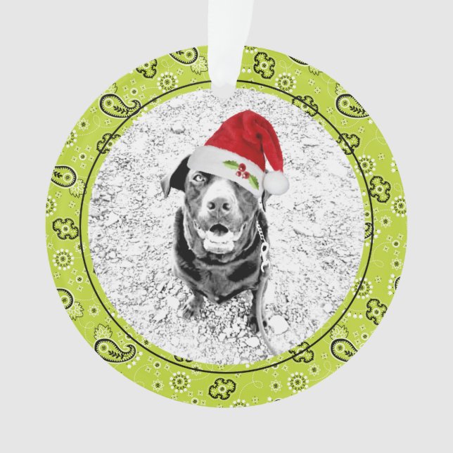 Green Bandanna Pet Photo NAME Christmas Fun Ornament (Front)