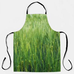 Green barley field, spring closeup. apron