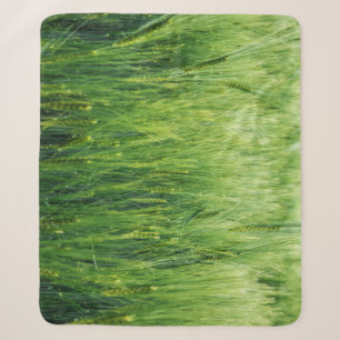 Green barley field, spring closeup. sherpa blanket
