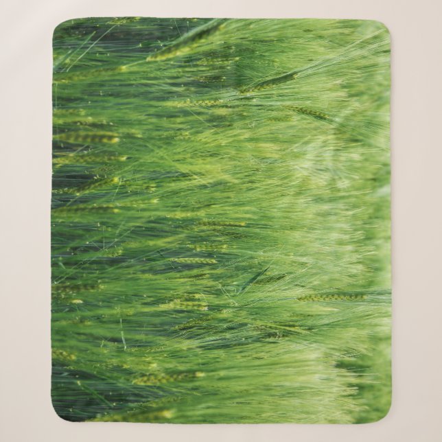 Green barley field, spring closeup. sherpa blanket (Front)