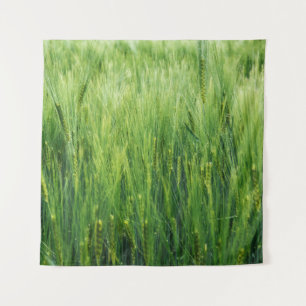 Green barley field, spring closeup. tapestry