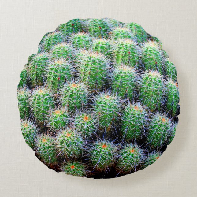 green barrel cactus round cushion (Front)