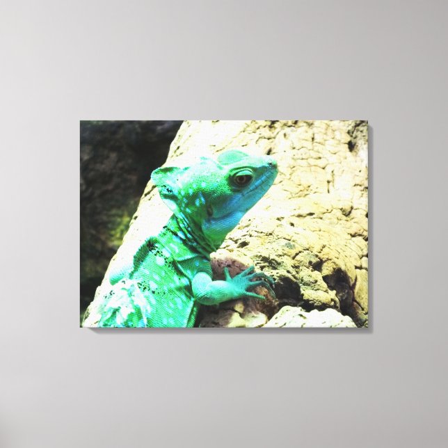 Green basilisk lizard reptile canvas print (Front)