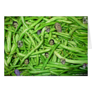 Green Bean Heads!