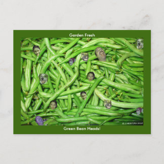 Green Bean Heads! Postcard