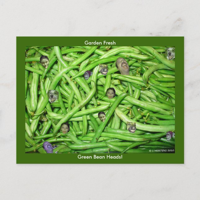Green Bean Heads! Postcard (Front)