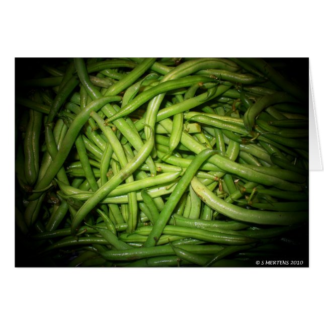 Green Beans in Spotlight (Front Horizontal)