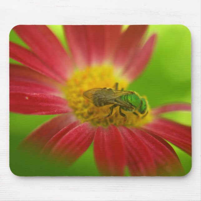 Green Bee & Painted Daisy Mouse pad (Front)