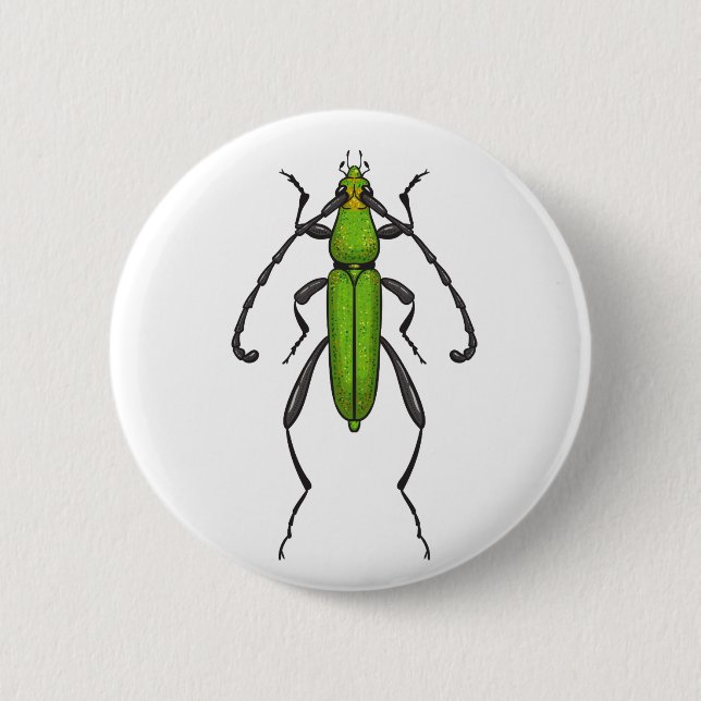 Green beetle 6 cm round badge (Front)