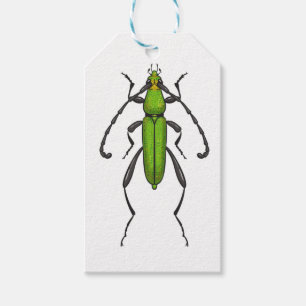 Green beetle gift tags