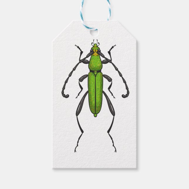 Green beetle gift tags (Front)