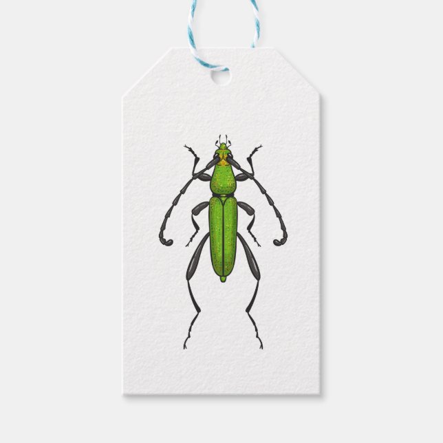 Green beetle gift tags (Front)