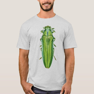 Green beetle shirt