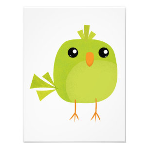 Green Bird Cartoon   Photo Print