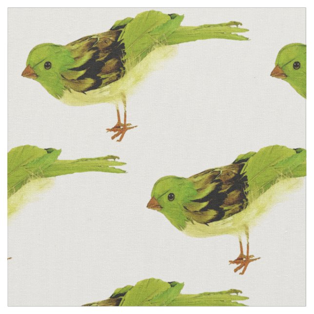 Green Birds Fabric (Close Up)