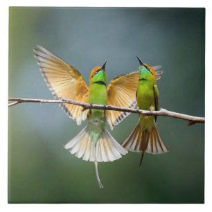 Green Birds Frolic in the Trees Photograph Tile