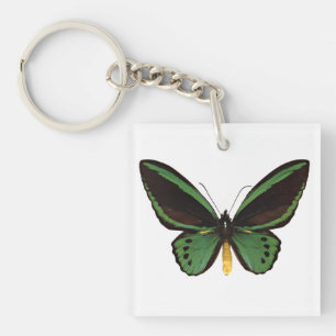 Green Birdwing Butterfly Key Ring