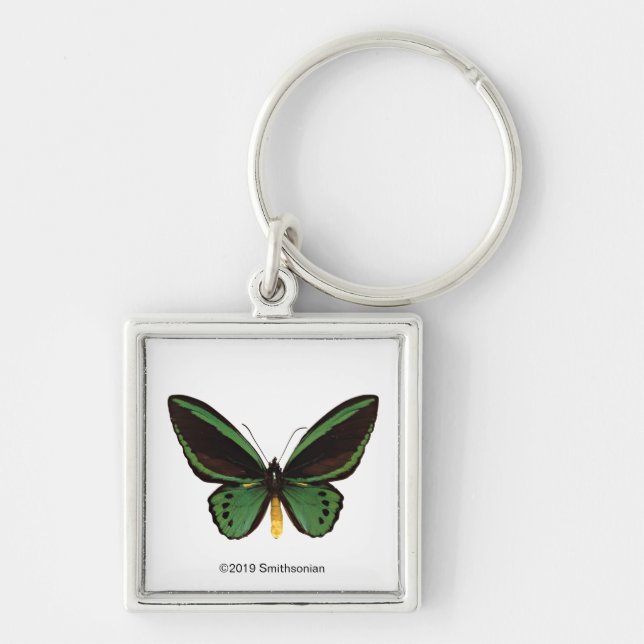 Green Birdwing Butterfly Key Ring (Front)