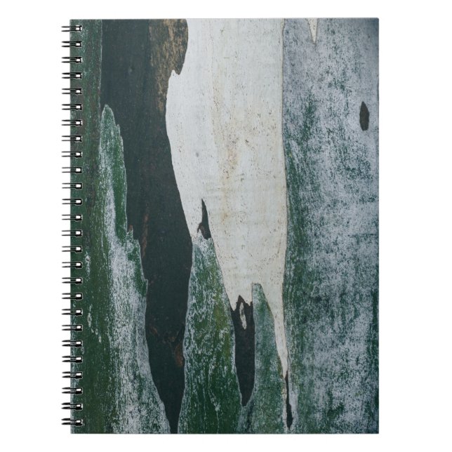 Green, black, and beige painting notebook (Front)
