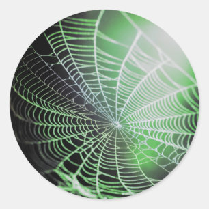 Green Black Creepy Spooky Spider Web Classic Round Sticker