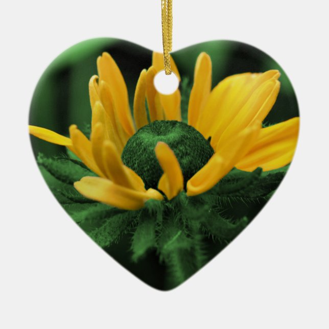 Green Black Eyed Susan Flower Ornament (Front)